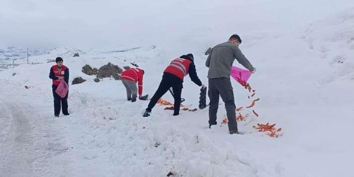Doğaya yaban hayvanları için yiyecek bırakıldı
