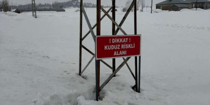 Yüksekova'da kuduz alarmı kontrol altına alındı