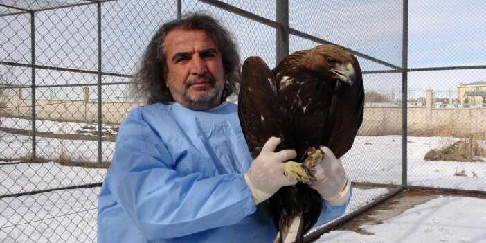 Yırtıcı kuşlar şifa bulup doğaya dönüyor