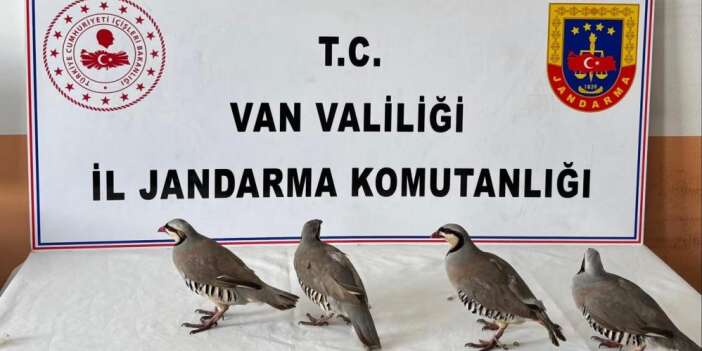 Keklik avlayan 2 kişiye 85 bin TL idari para cezası uygulandı