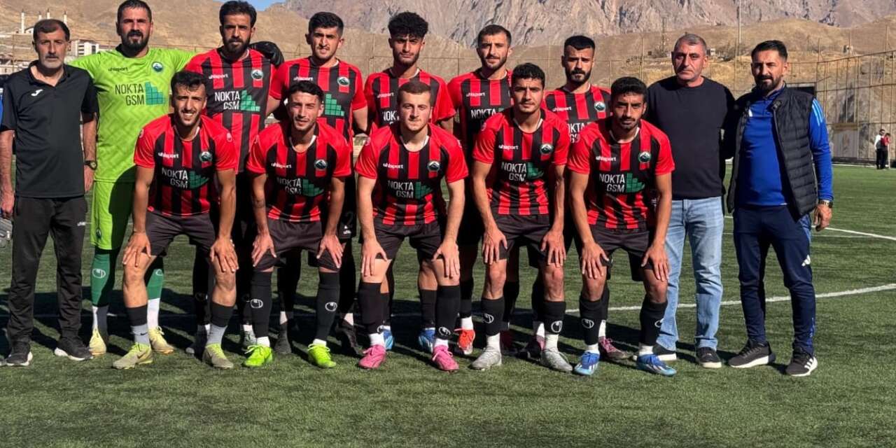 Bir takımdan fazlası