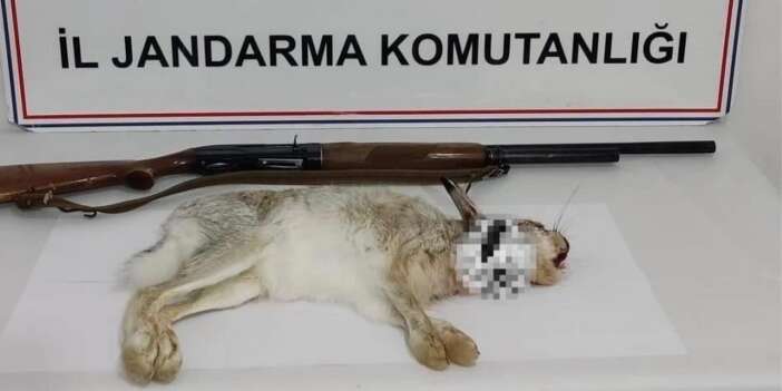 Tavşan avlayan şahsa 29 bin TL ceza
