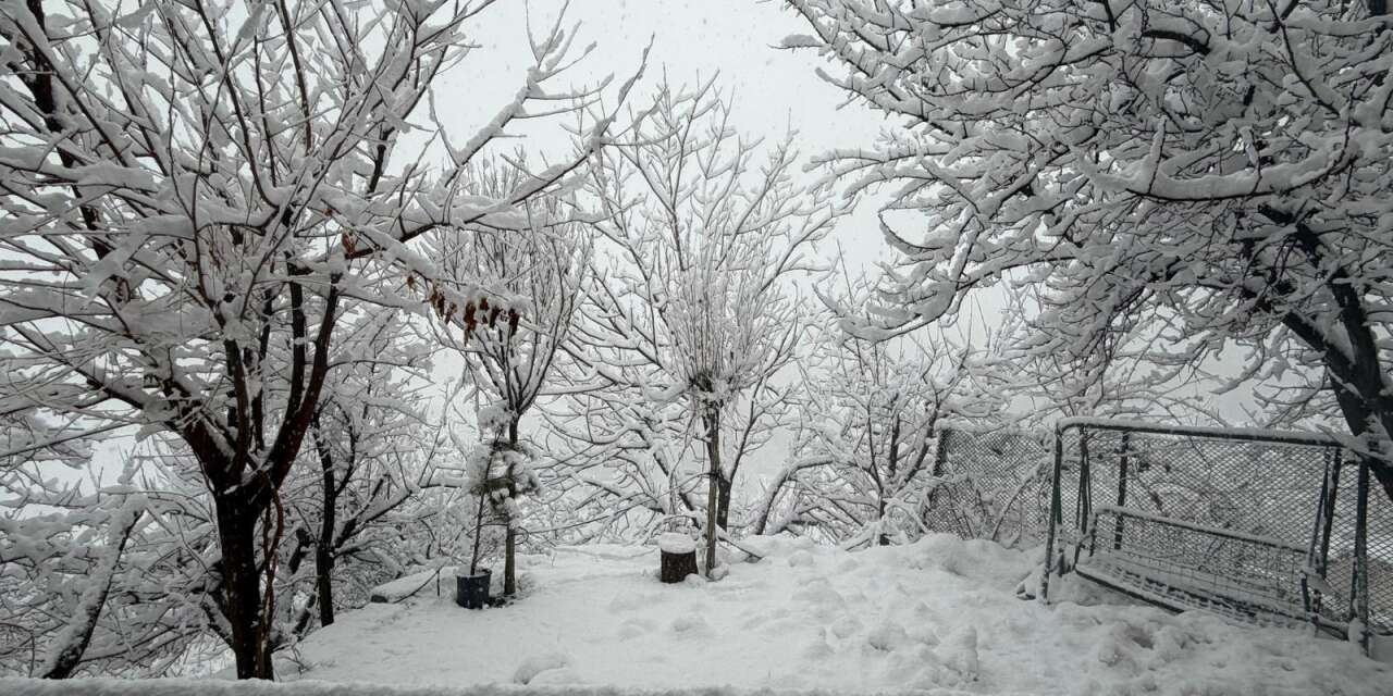 Hakkari'de kar güzelliği (Video)