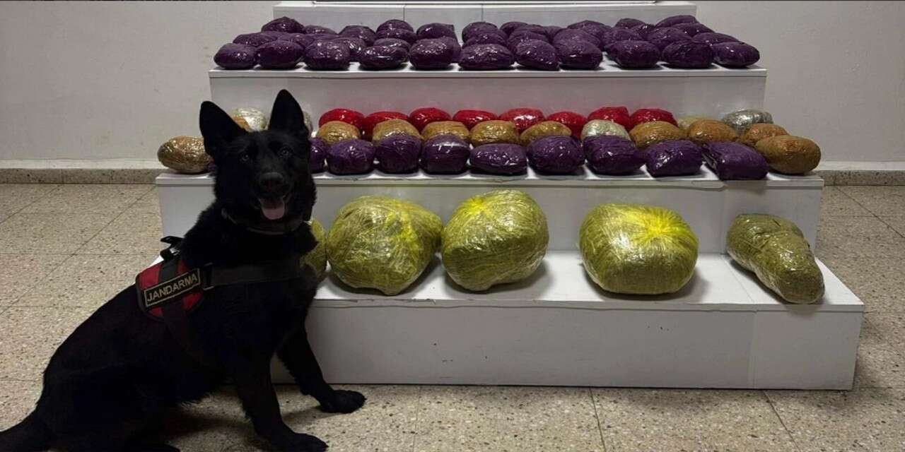 Araziye gizlenmiş uyuşturucu bulundu