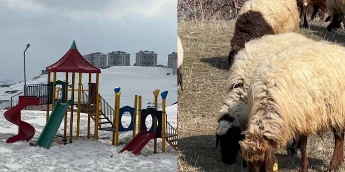 Yüksekova'da kar, Esendere'de bahar mesaisi