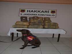 Gever'de 164 kilo esrar gele geçirildi