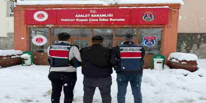 Hakkari’de Jandarmadan Başarılı Operasyon