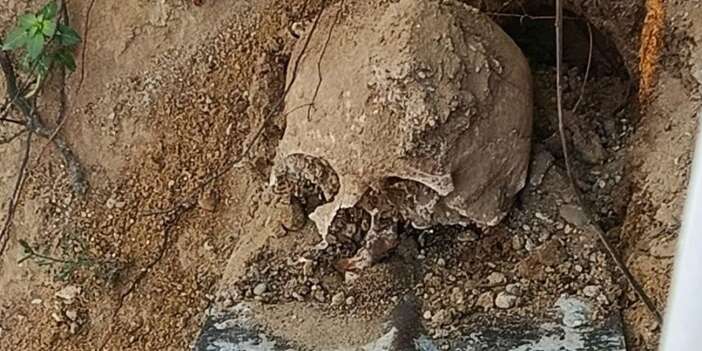 Site bahçesinde insan kafatası bulundu