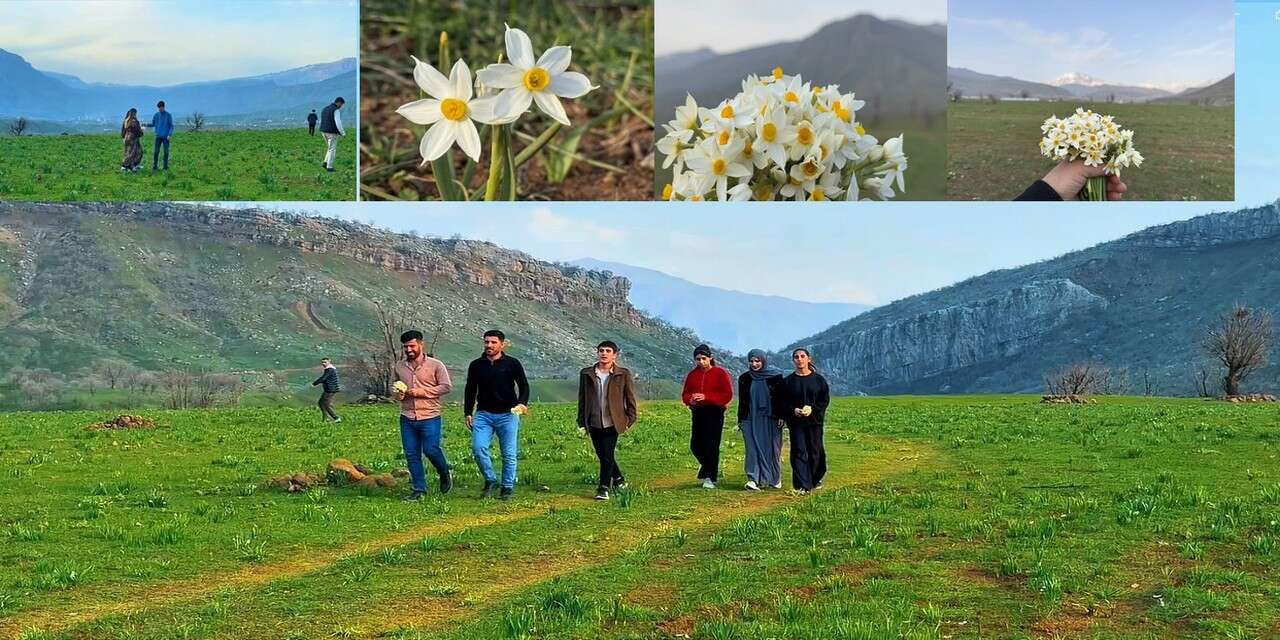 Derecik ilçesinde bahar yüzünü gösterdi