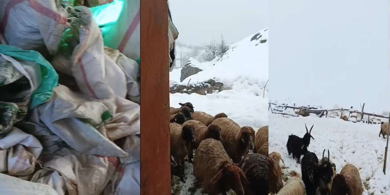 Hakkari’de 1,5 metrelik kar: Çiftçiler çaresiz