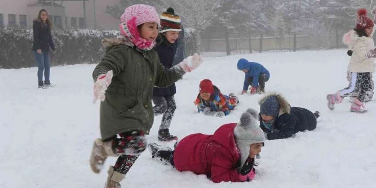 Hakkari ve Yüksekova'da okullar tatil edildi