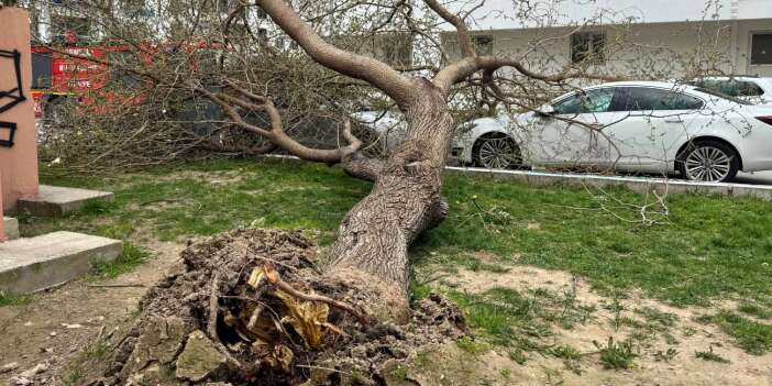 Fırtına Dehşeti! Çatılar Uçtu, Araçlar Hasar Gördü