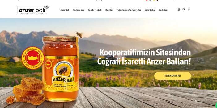 Anzer Balı ile Diğer Bal Türleri Arasındaki Farklar Nelerdir?