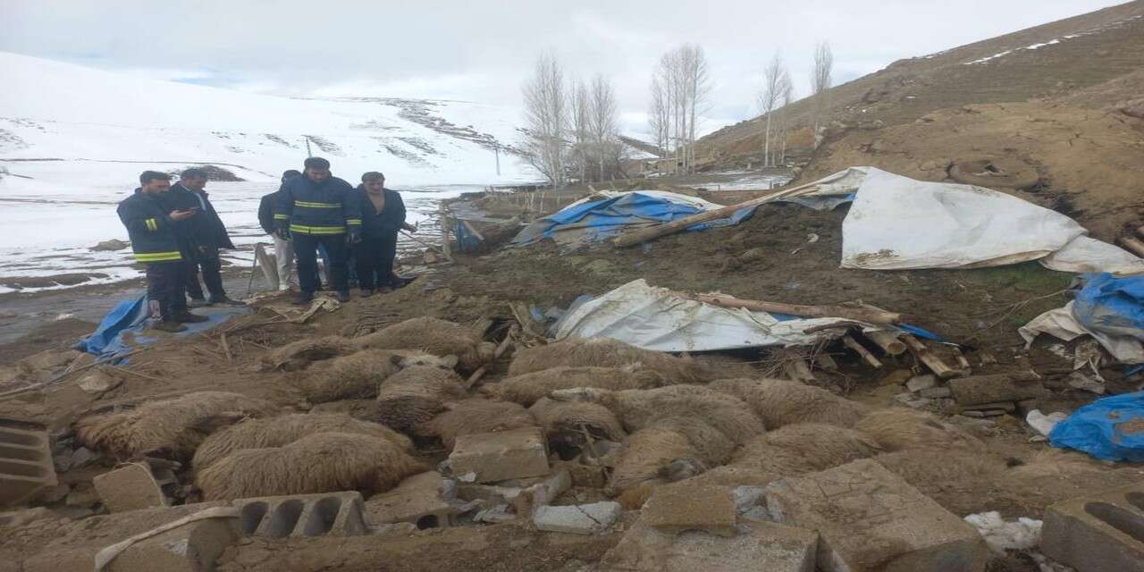 Ahır çöktü, 23 hayvan telef oldu