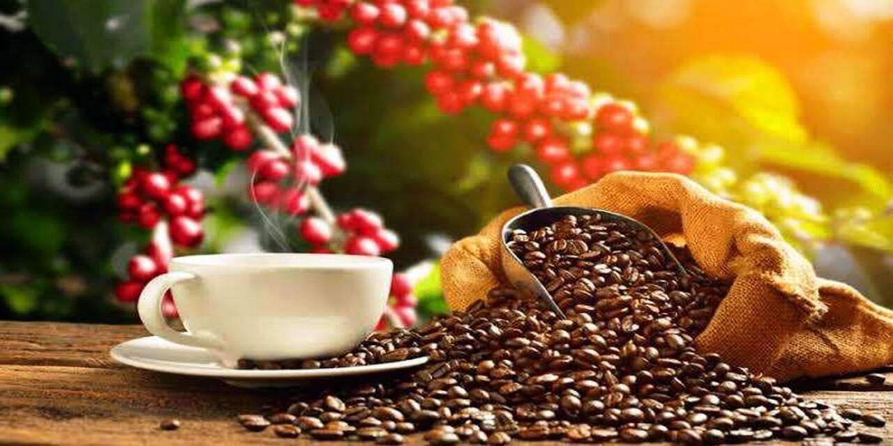 Uzmanlardan Kahve Uyarısı!