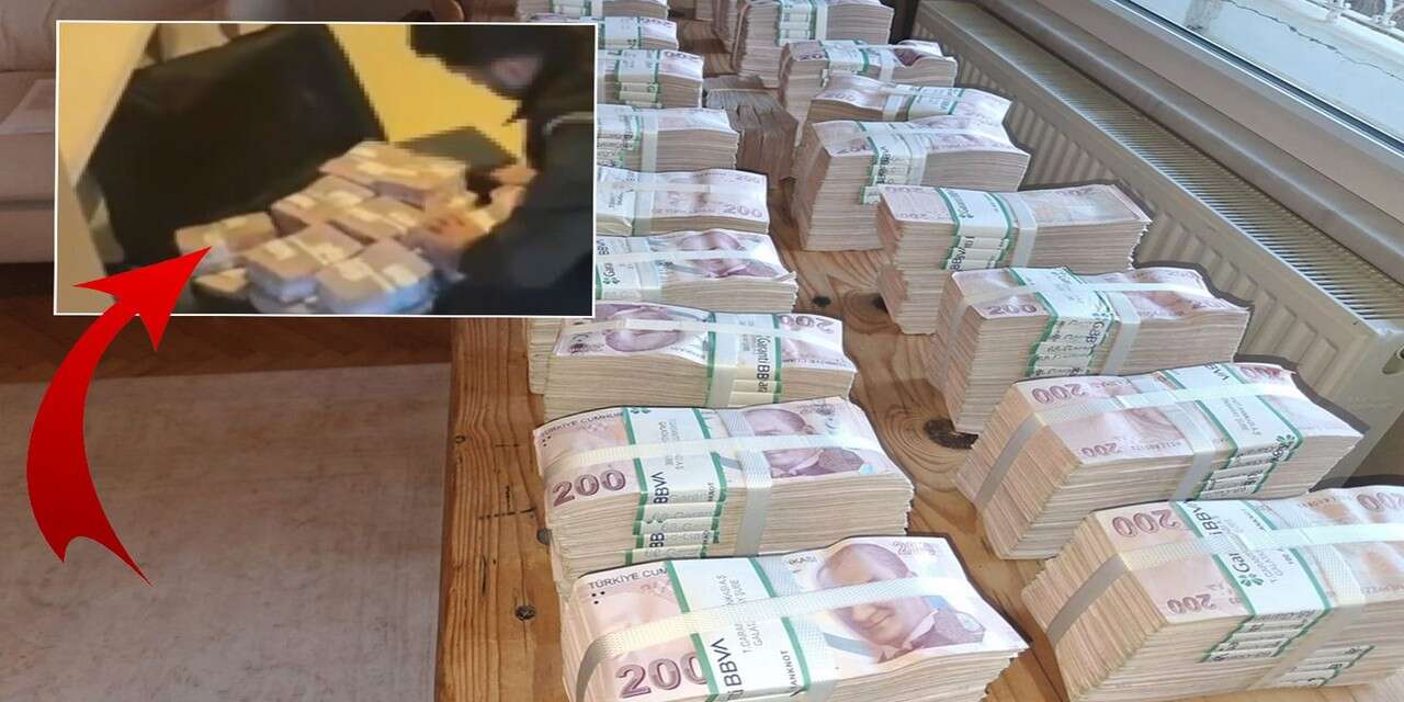 Ruhsat operasyonu: 20 gözaltı