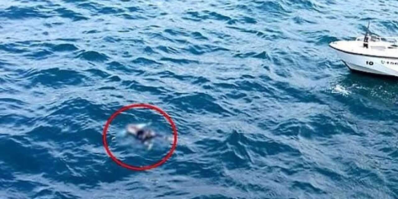 Van Ggölü'ne düşen gencin cesedi bulundu