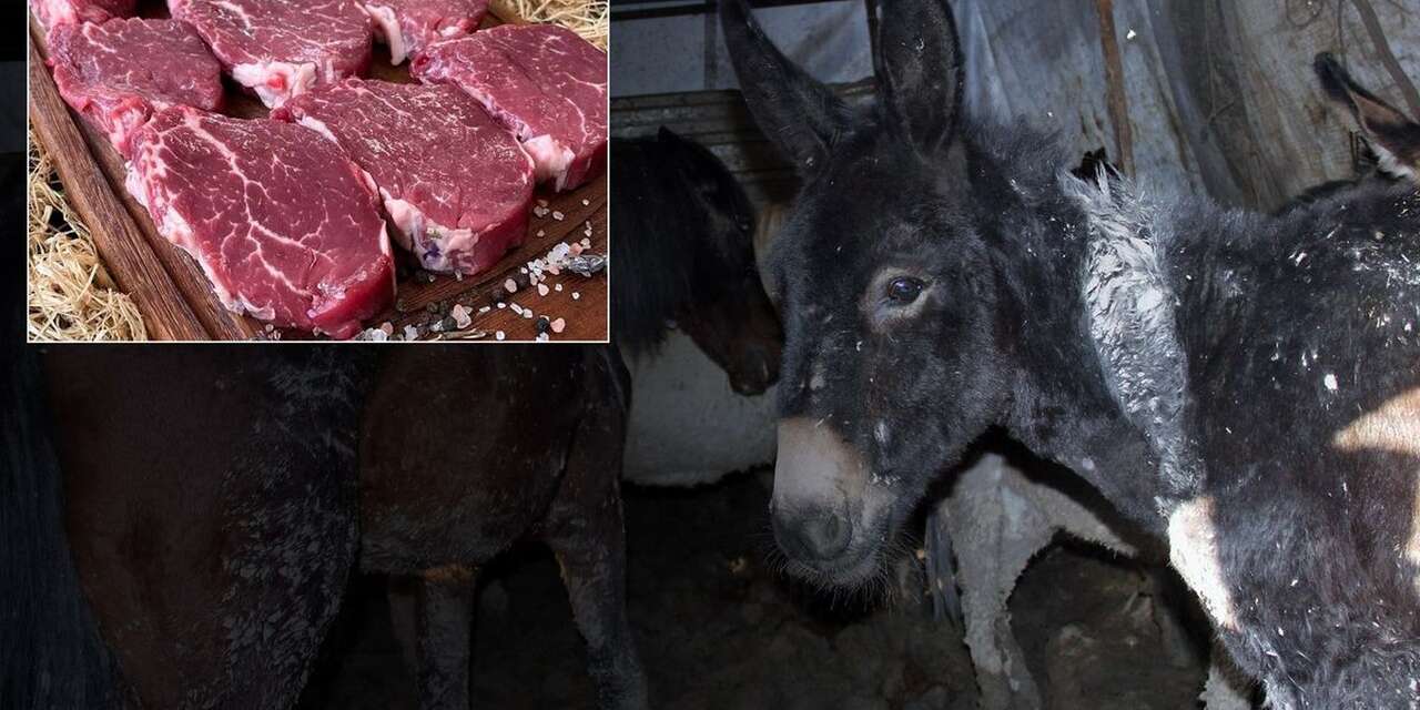 Vatandaşa at ve eşek eti yedirdiler