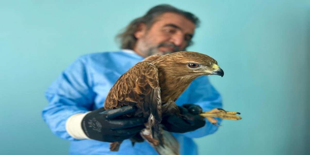 Kaçak avcılığa karşı umut merkezi