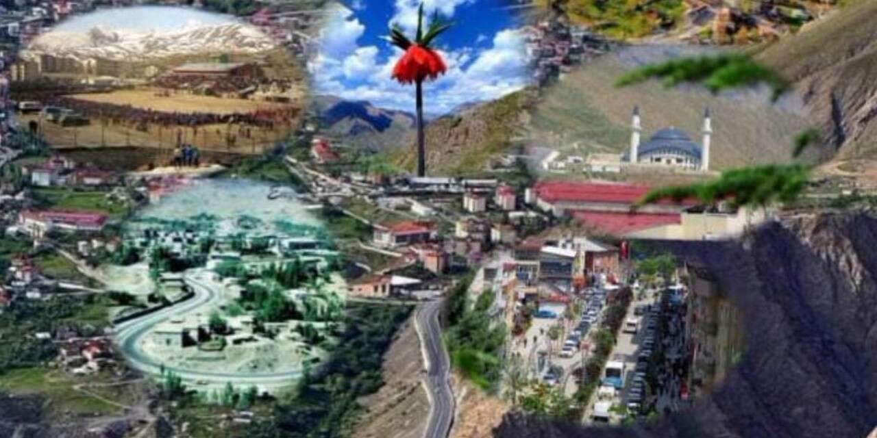 Hakkari dayanışma ve bilgi: Zor günleri birlikte aşıyoruz