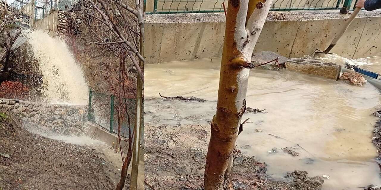 Babiş deresi taştı, bahçe sular altında