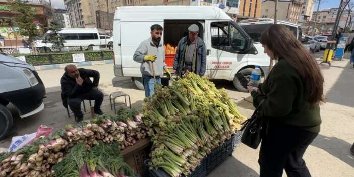 Hakkari’de uçkun bolluğu