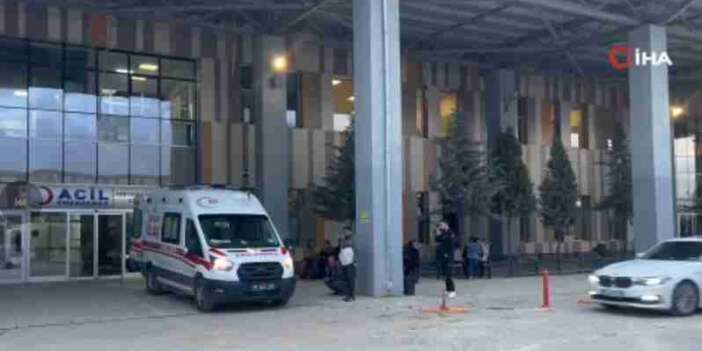 Van'da sokak köpeği dehşeti!