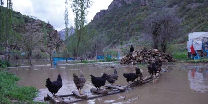 Beytüşşebap'ta ev ve ahırlar sular altında kaldı