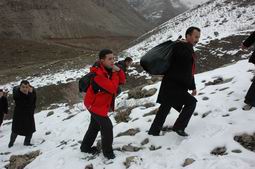 HAYVANLAR İÇİN SEFERBER OLDULAR