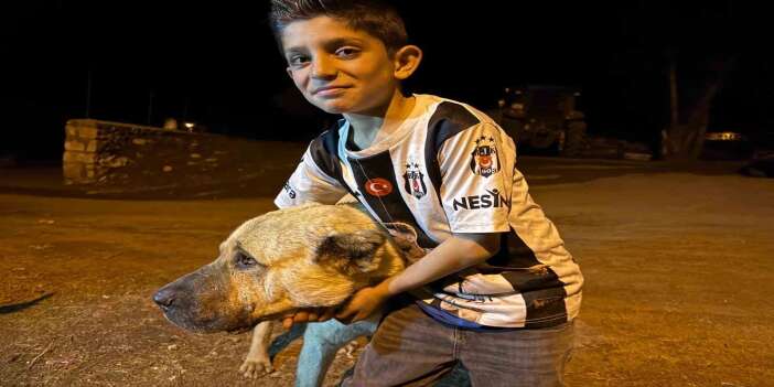 Ayıların Saldırdığı Çocuğu Kangal Köpeği Kurtardı
