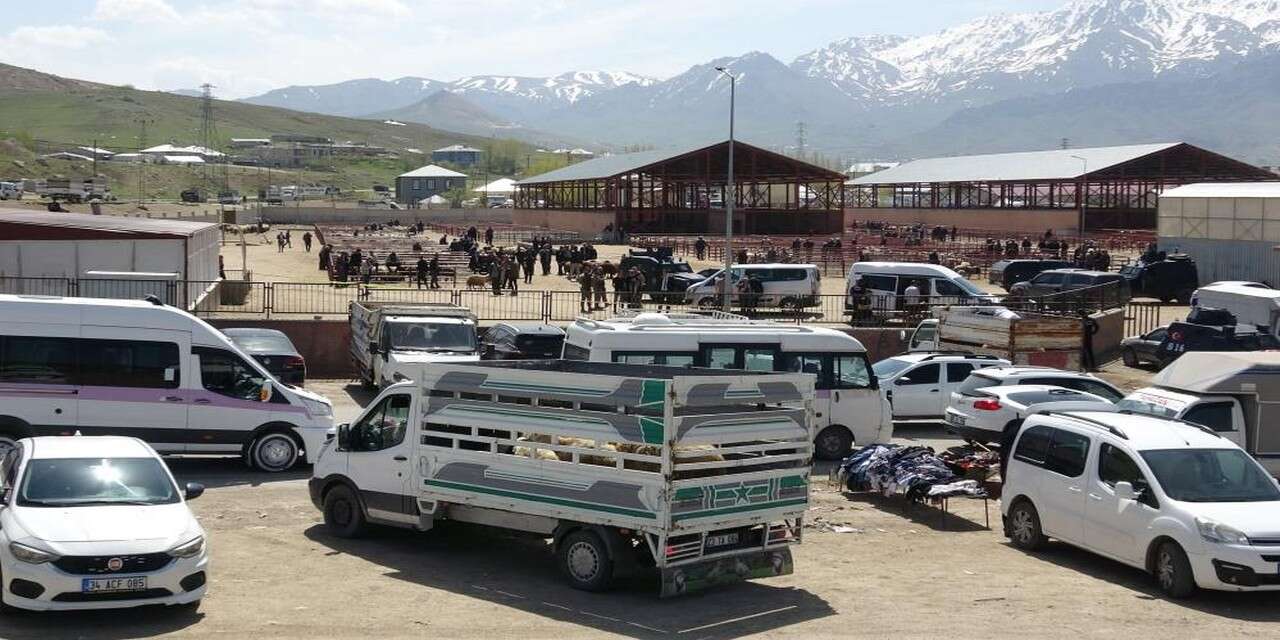 Hayvan pazarında silahlı kavga can aldı