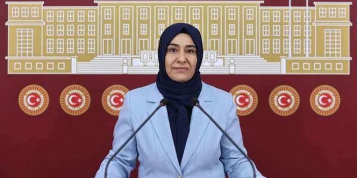 Kürtçe için TBMM’ye araştırma önergesi