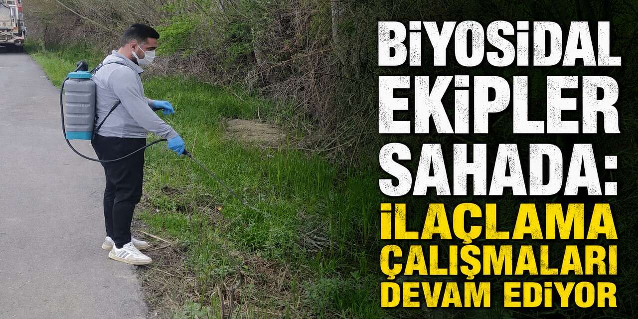 Hakkari Belediyesi'nden  Larva ile etkin mücadele