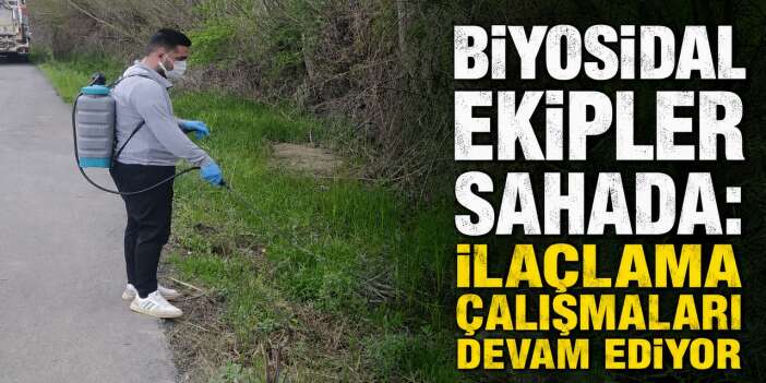 Hakkari Belediyesi'nden  Larva ile etkin mücadele