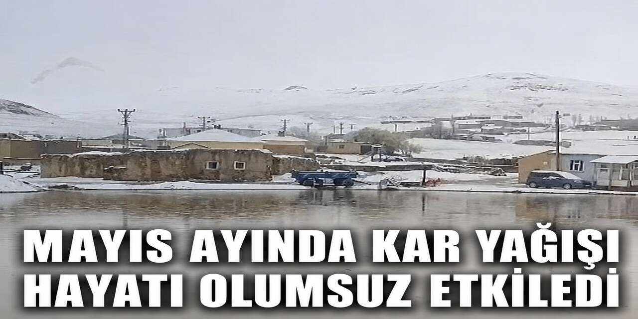 Gürpınar’da lapa lapa kar yağdı