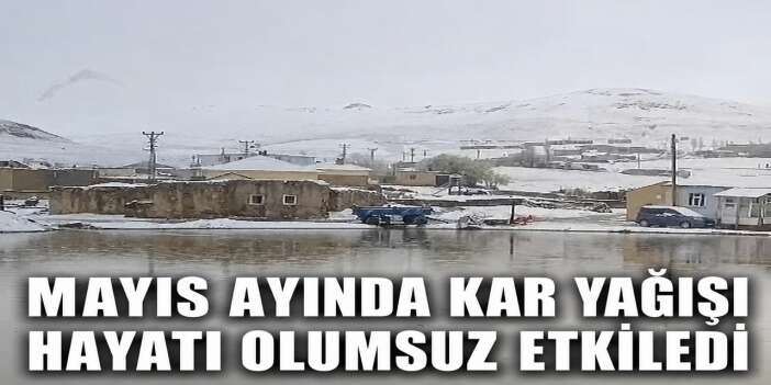 Gürpınar’da lapa lapa kar yağdı
