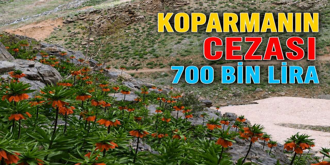 Ters lale Koparmanın cezası 700 bin lira