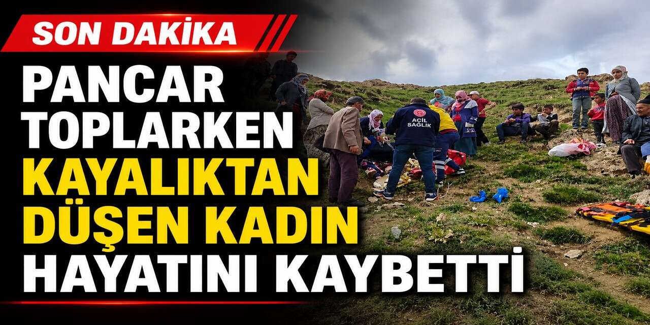 Yüksekova'da pancar toplamaya giden kadının acı sonu
