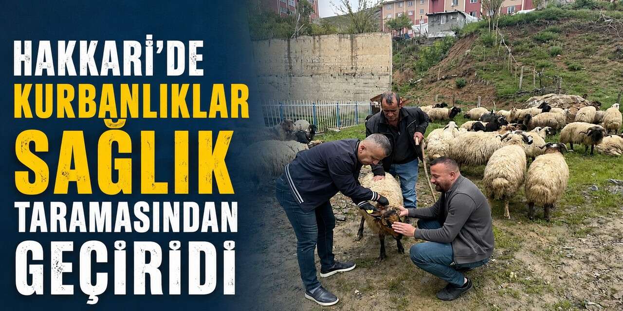Hakkari’de Kurbanlıklara sağlık kontrolü
