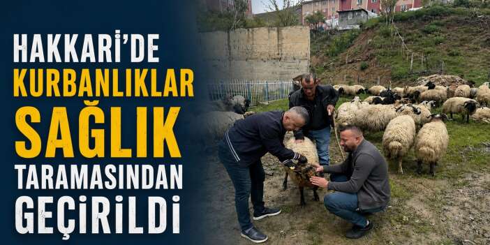 Hakkari’de Kurbanlıklara sağlık kontrolü