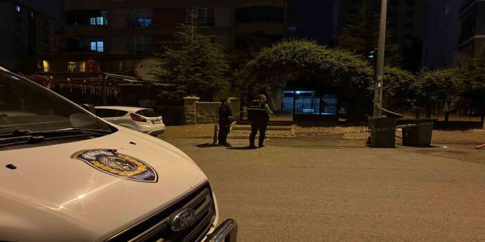 Kadını kurtarmak isteyen 2 kardeş bıçaklandı
