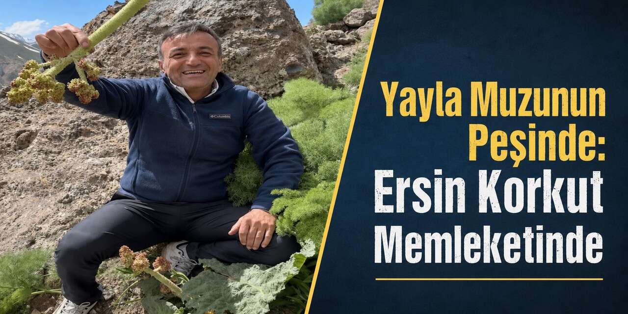 Ersin Korkut Hakkari dağlarında uşkun topladı