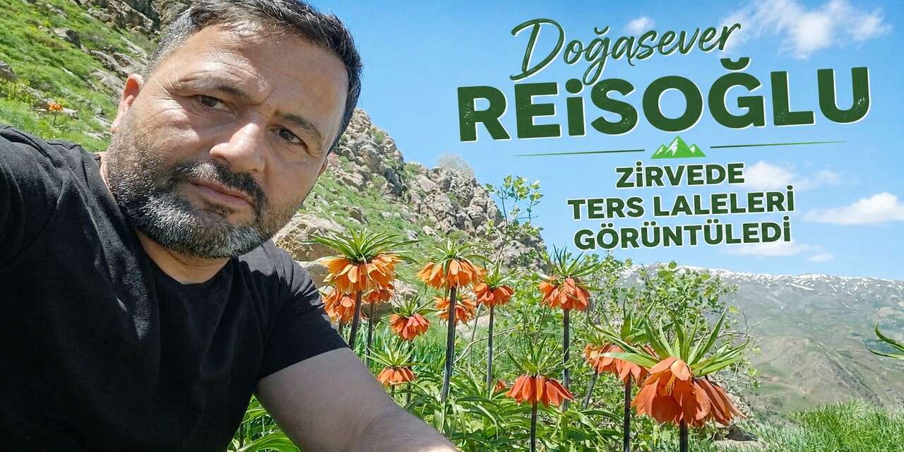 Doğasever Reisoğlu zirvede Ters Laleleri görüntüledi