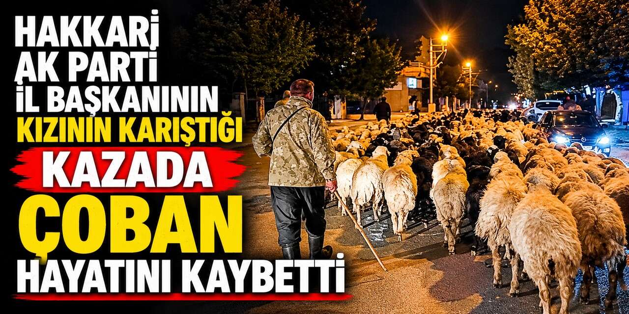 Van’da Trafik Kazası: Çoban Yaşamını Yitirdi