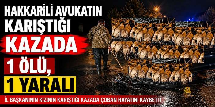 Van’da Trafik Kazası: Çoban Yaşamını Yitirdi