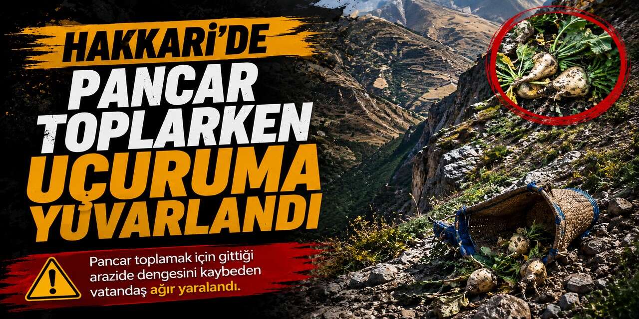 Hakkari'de pancar toplarken uçuruma yuvarlandı