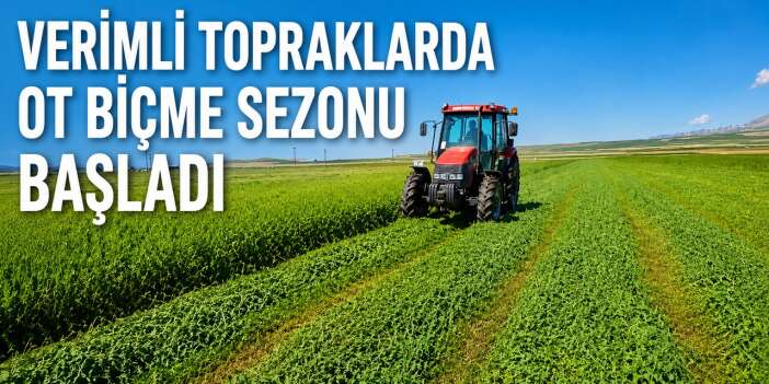 Ot biçme sezonu başladı
