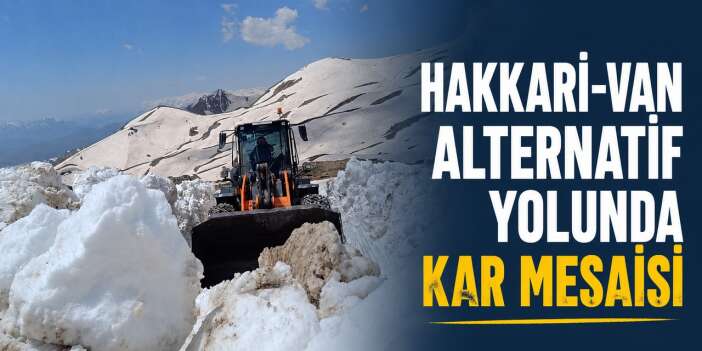 Hakkari-Van alternatif yolunda kar mesaisi