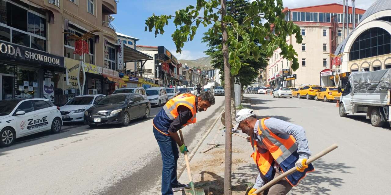 Belediyeden kent estetiğine yeşil dokunuş