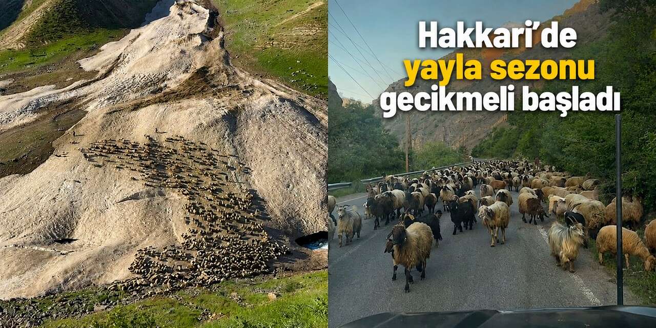 Hakkari'de yayla sezonu gecikmeli başladı